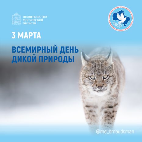 открытка-3 марта-квадрат-01