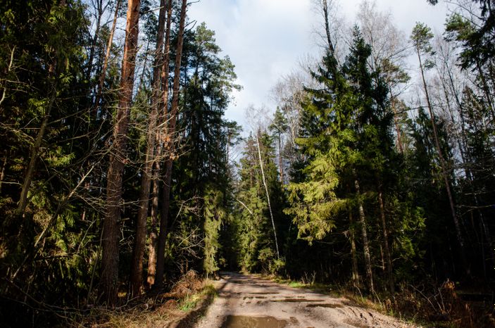 Осенние виды природного заказника Арюшина Гора