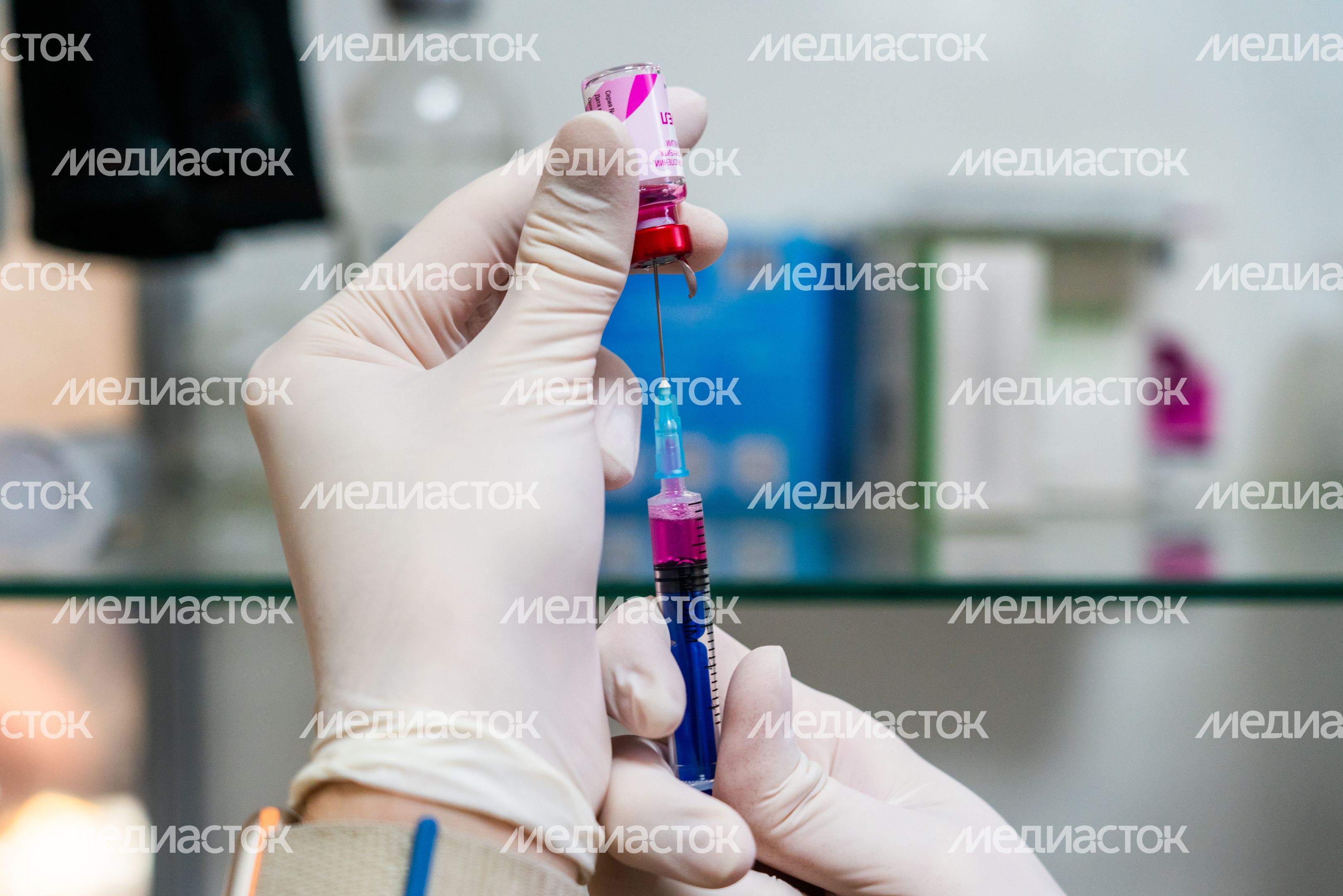 Вакцинация домашних животных на Истринской ветеринарной станции