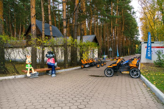 Домодедовский осенний парк культуры и отдыха «Елочки»