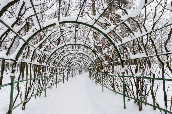 Красногорск. Усадьба «Архангельское». Зима