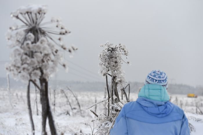 Последствия ледяного дождя в Подмосковье