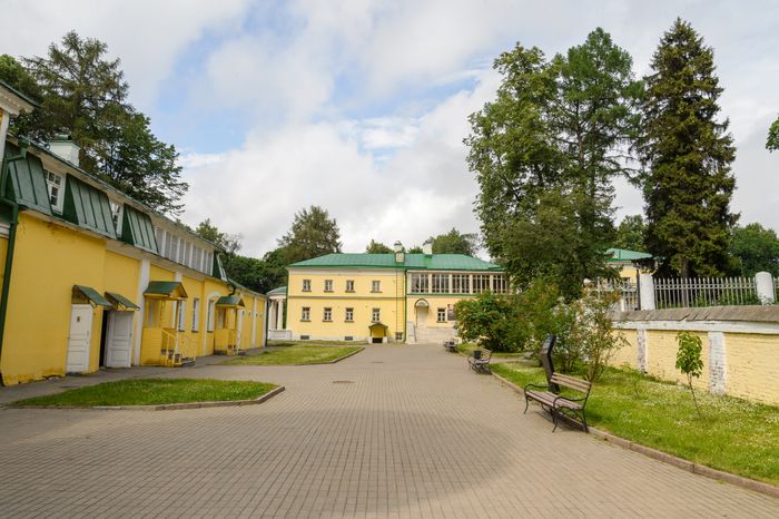 Пальмы и Розы Зинаиды Морозовой
