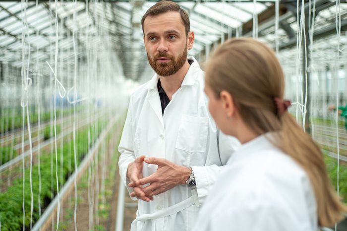 Теплицы крупного семеноводческого агропромышленного комплекса ООО «Агрофирма Партнер»
