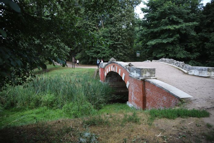Кузьминский лесопарк