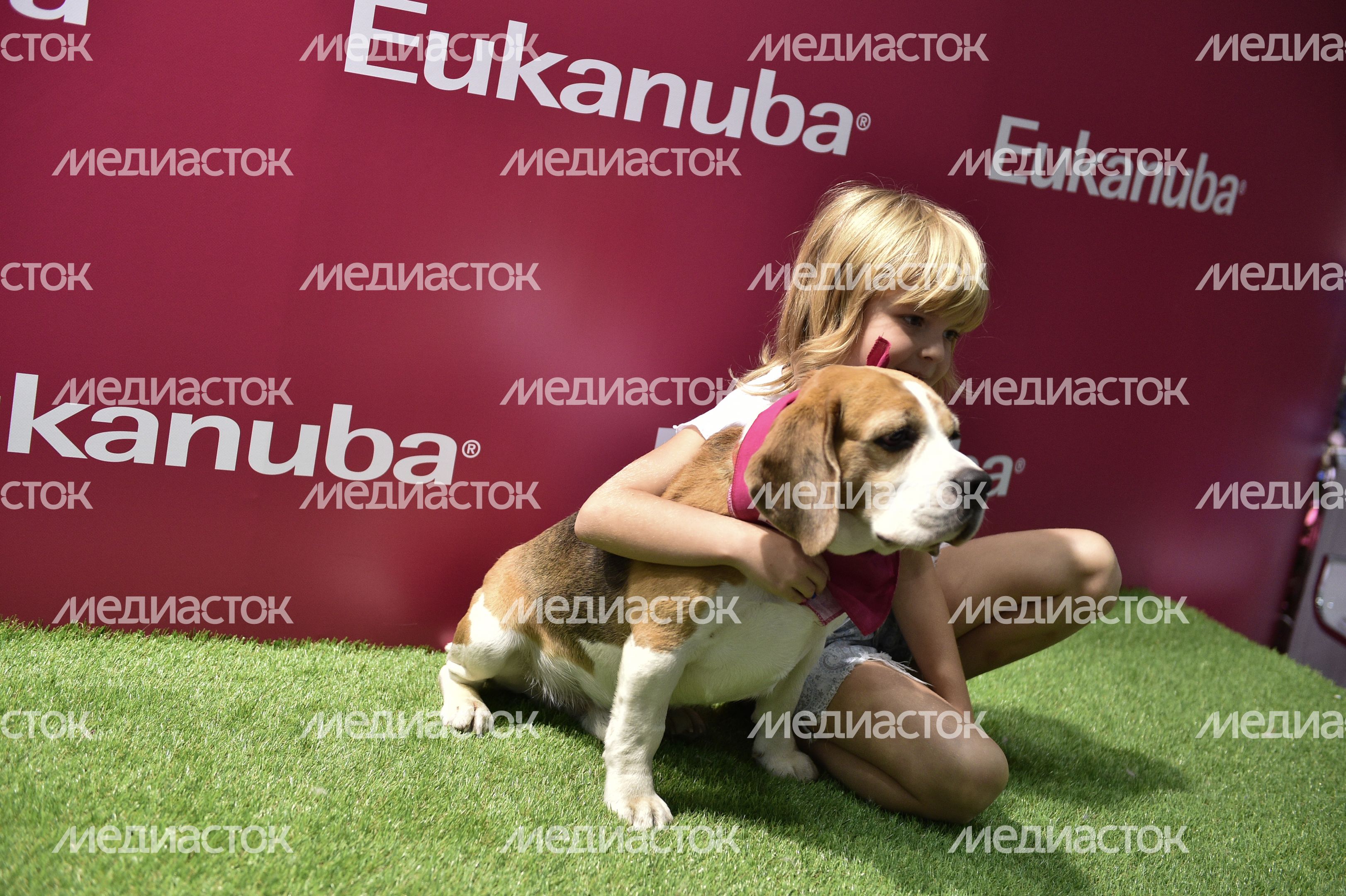 Всемирная выставка собак World Dog Show 2016 в МВЦ «Крокус Экспо» Всемирная выставка собак World Dog Show 2016 в МВЦ «Крокус Экспо»
