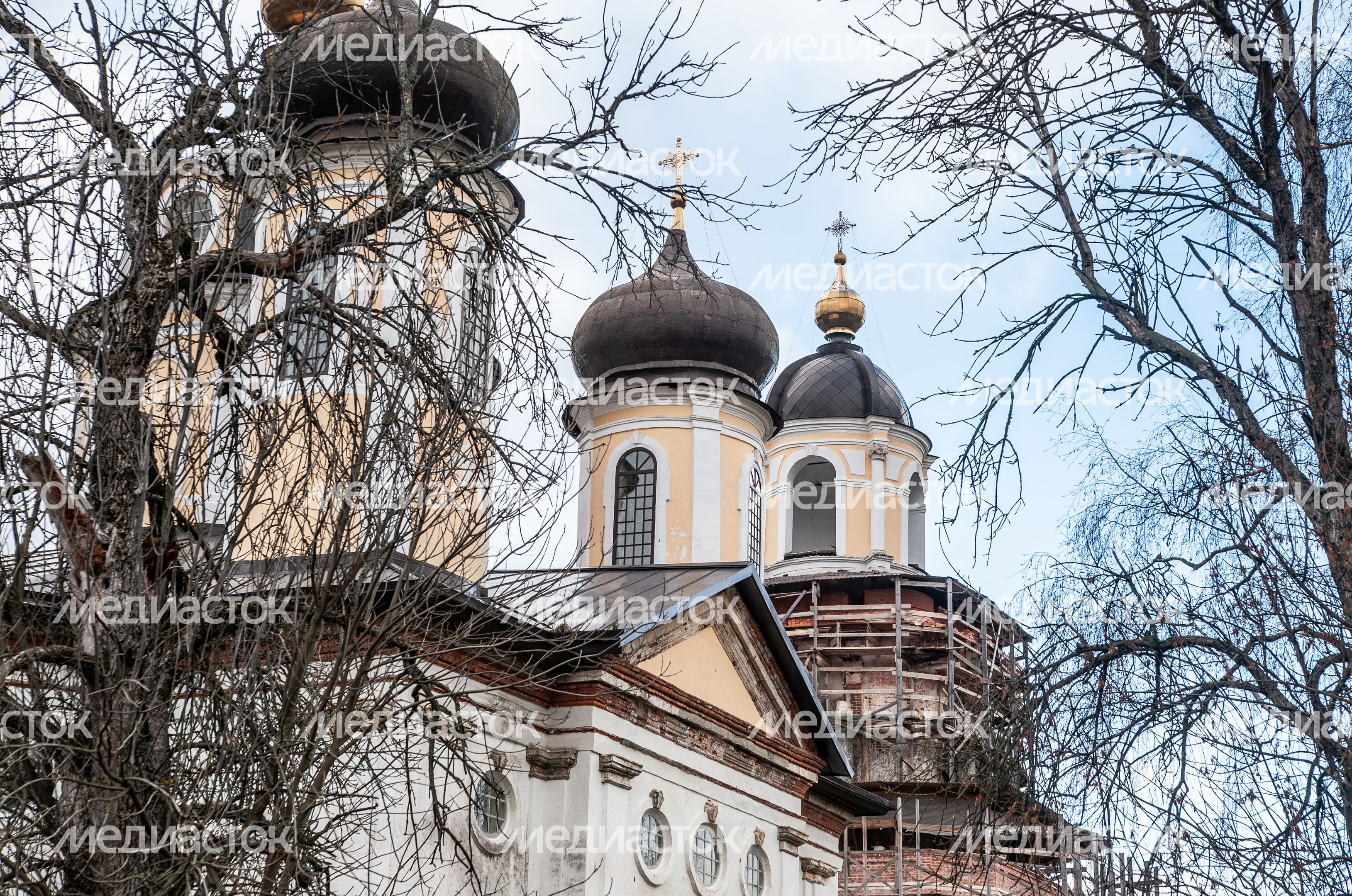 Церковь Преображения Господня в деревне Спасс-Косицы