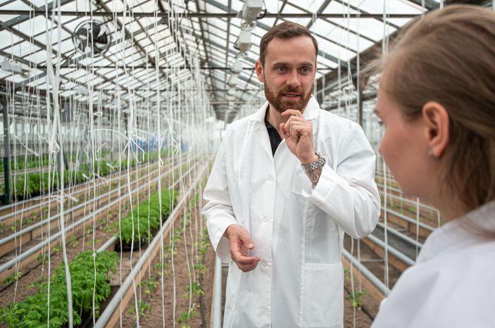 Теплицы крупного семеноводческого агропромышленного комплекса ООО «Агрофирма Партнер»
