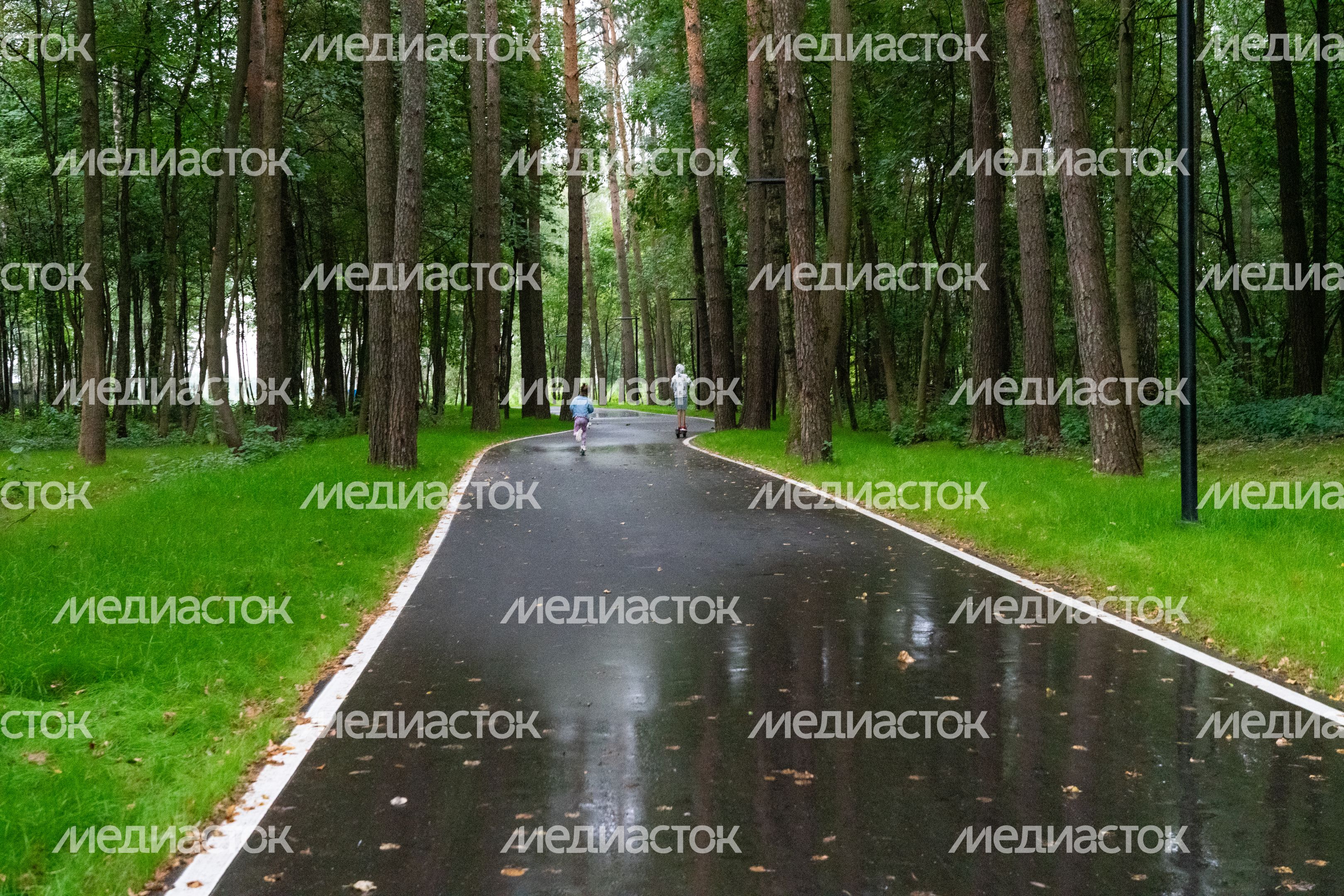 Подольск. Парк «Дубровицкий лес» Подольск. Парк «Дубровицкий лес»
