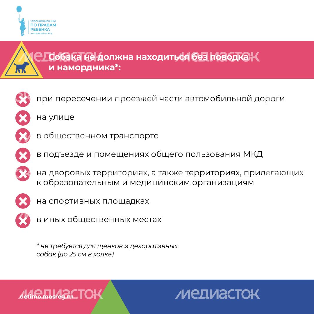 уппр_осторожно_собака_квадрат_6.jpg