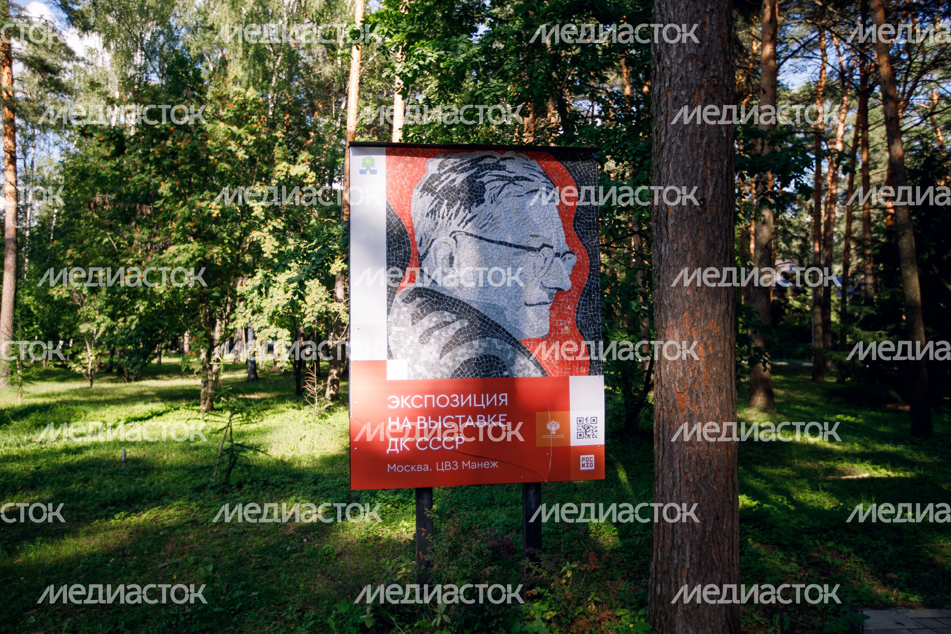 Дубна. Мозаики Нади Леже Дубна. Мозаики Нади Леже