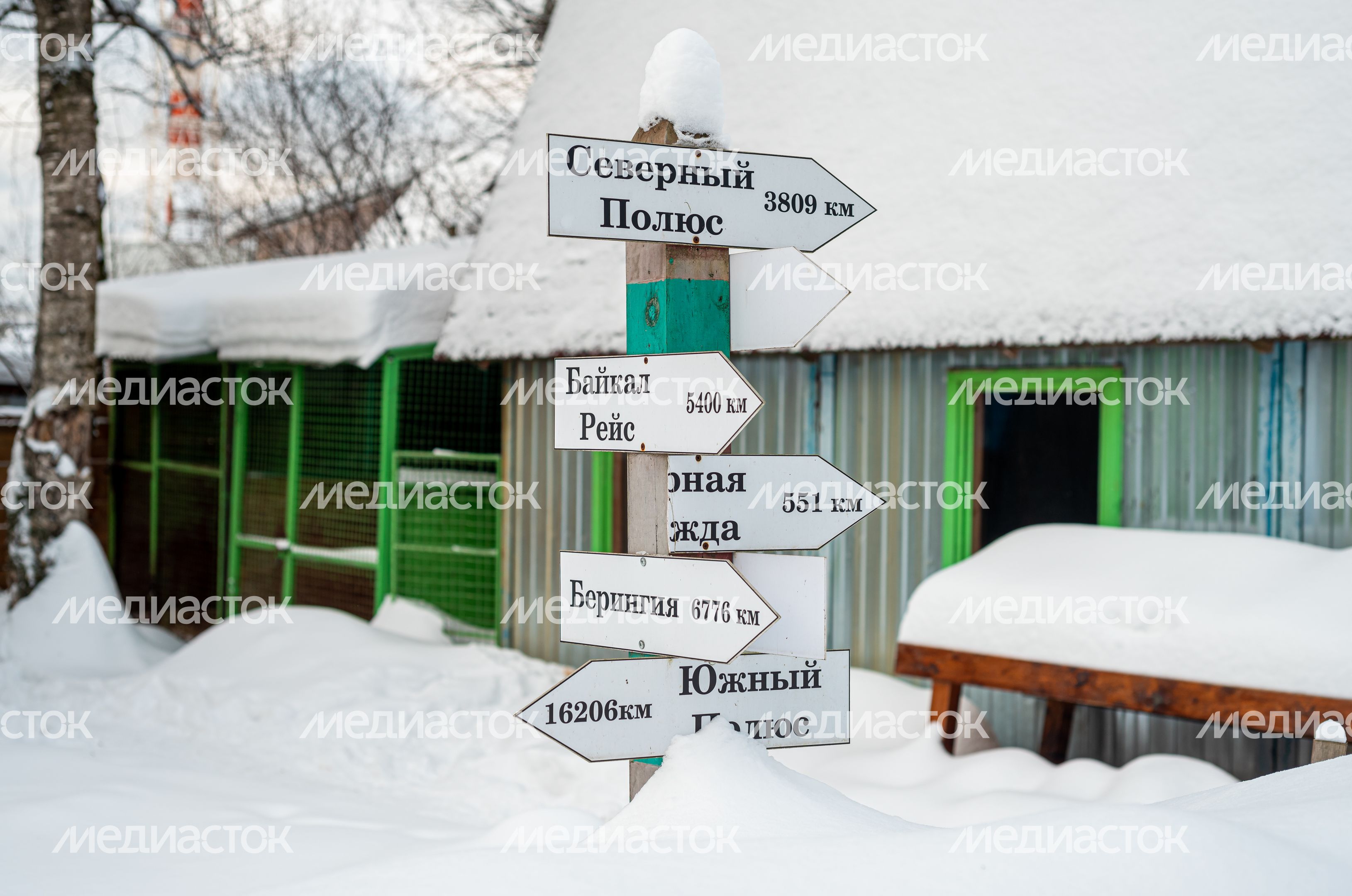 Зима в питомнике ездовых собак Северный