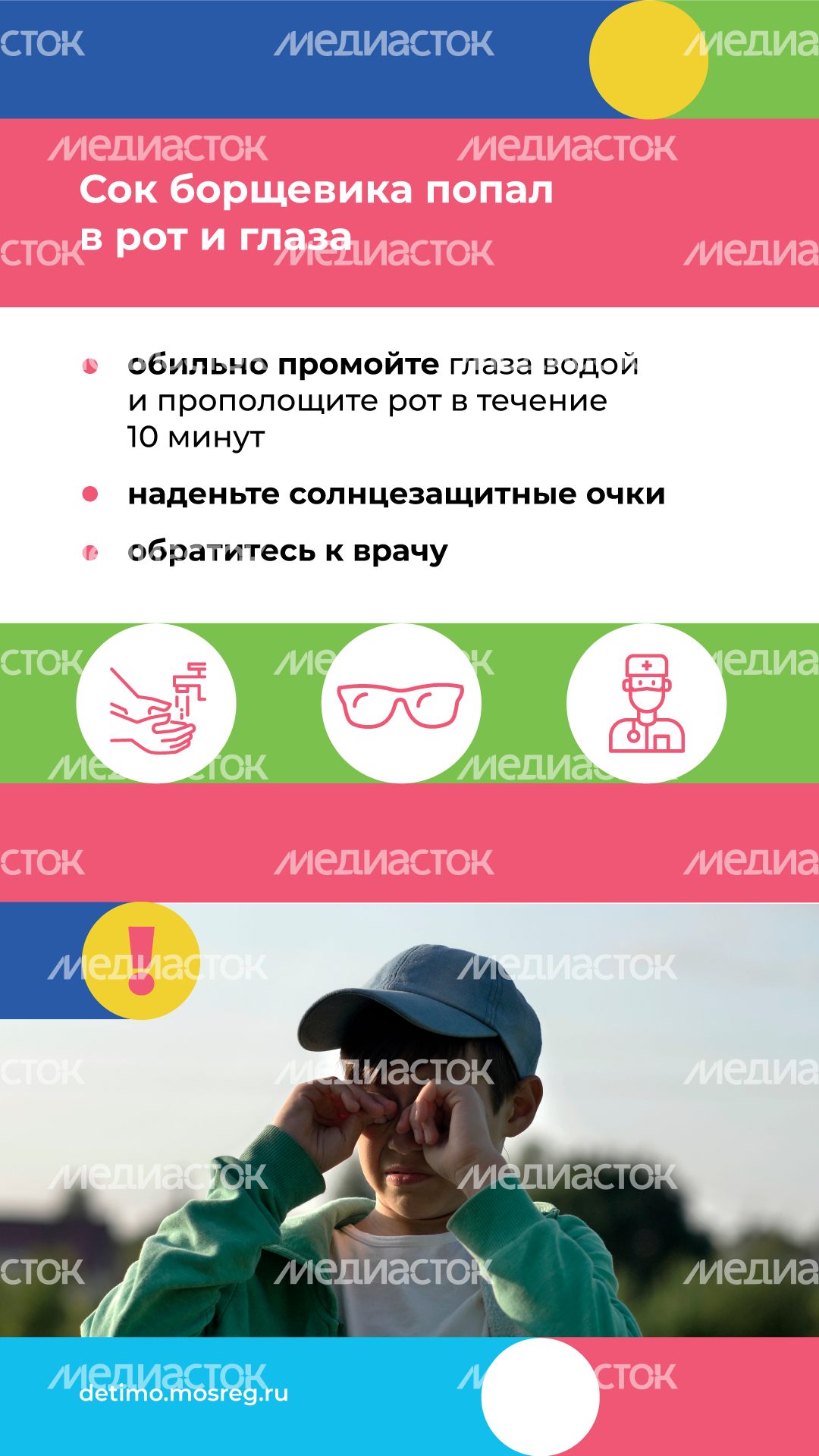 Вертикаль_Борщевик Сосновского_07.png