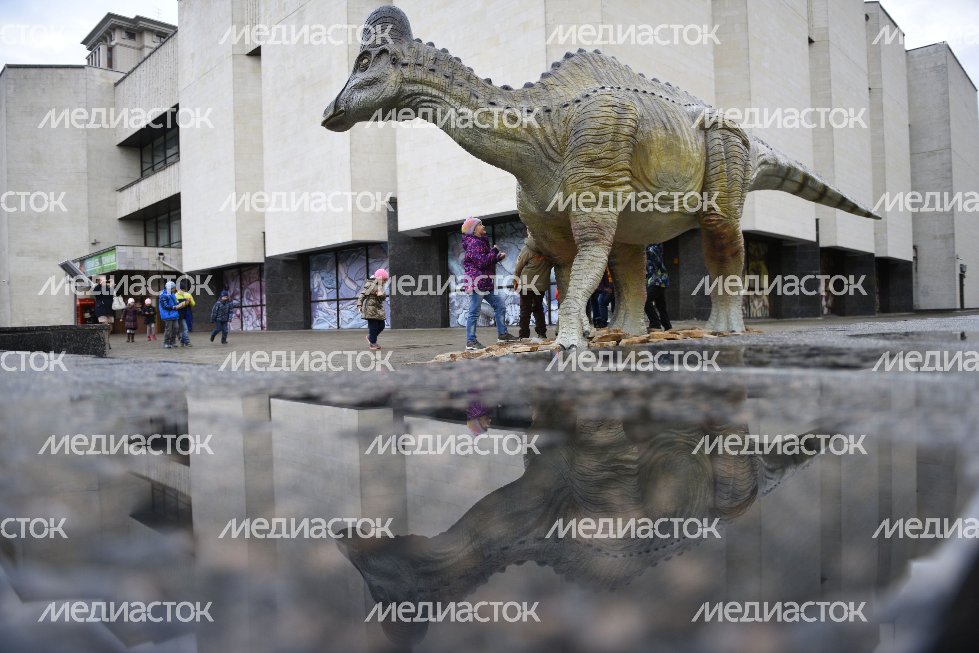 Государственный Дарвиновский музей