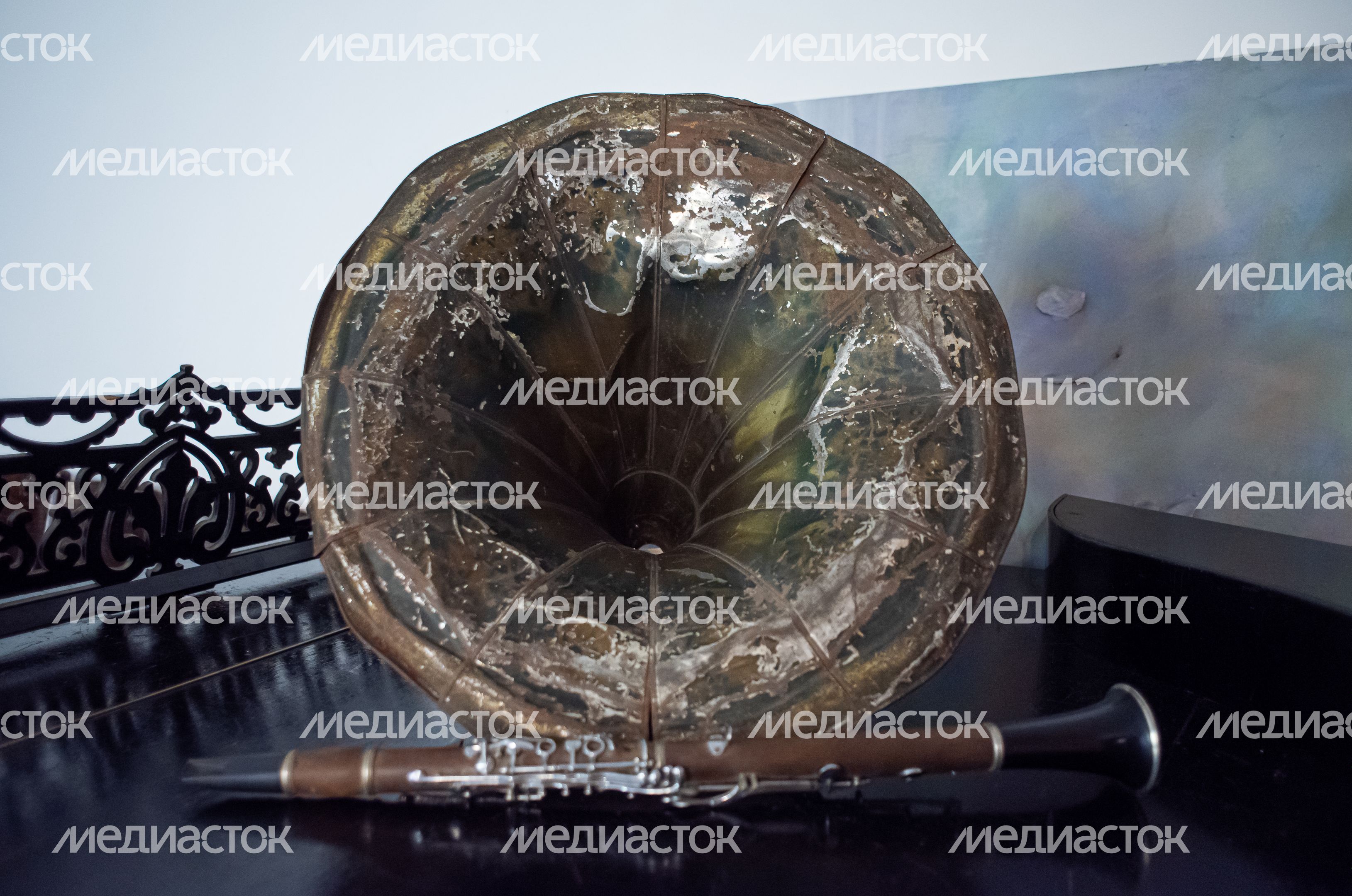 Музей истории музыкального искусства в Орехово-Зуеве