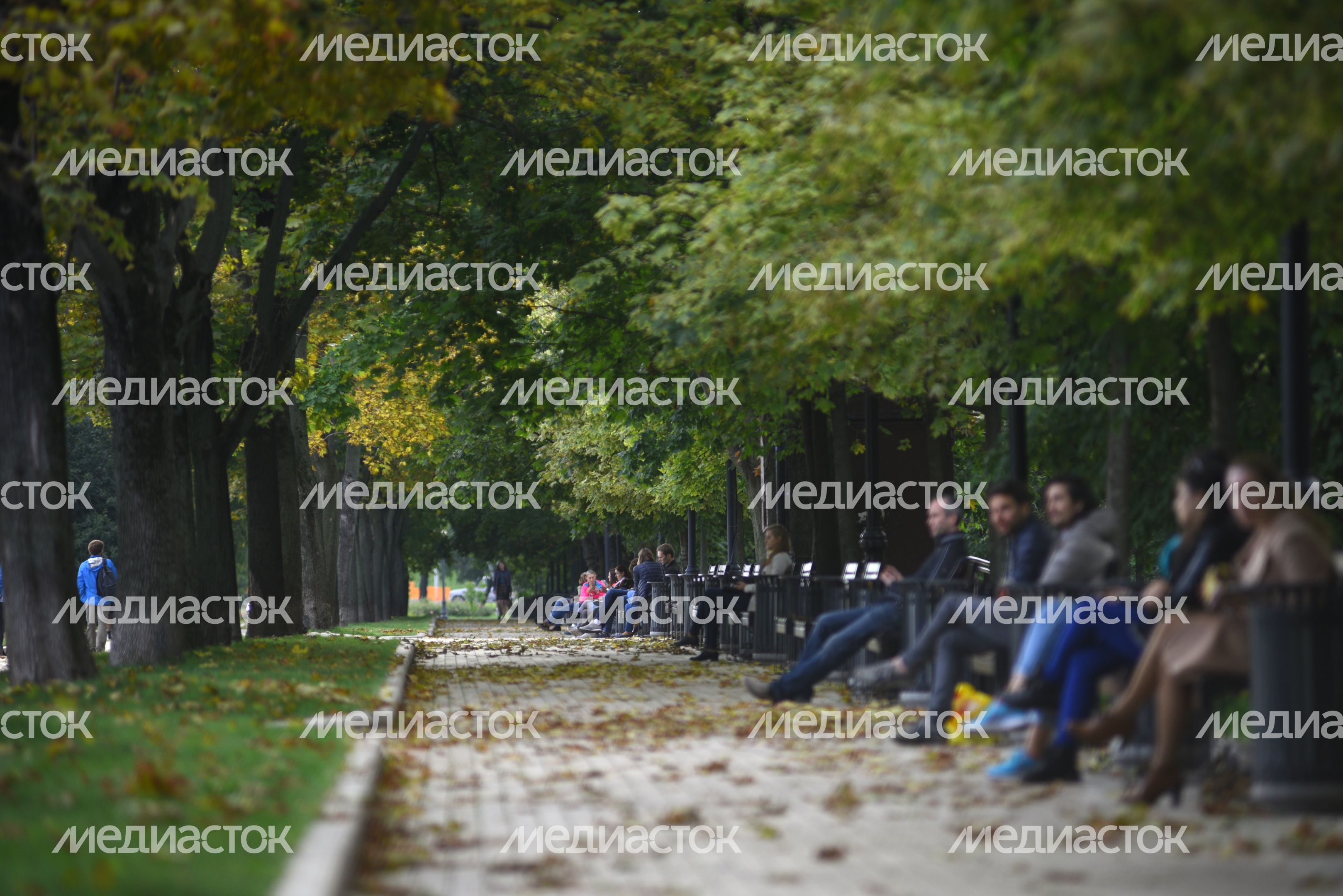 Парк Новодевичьи пруды в Москве