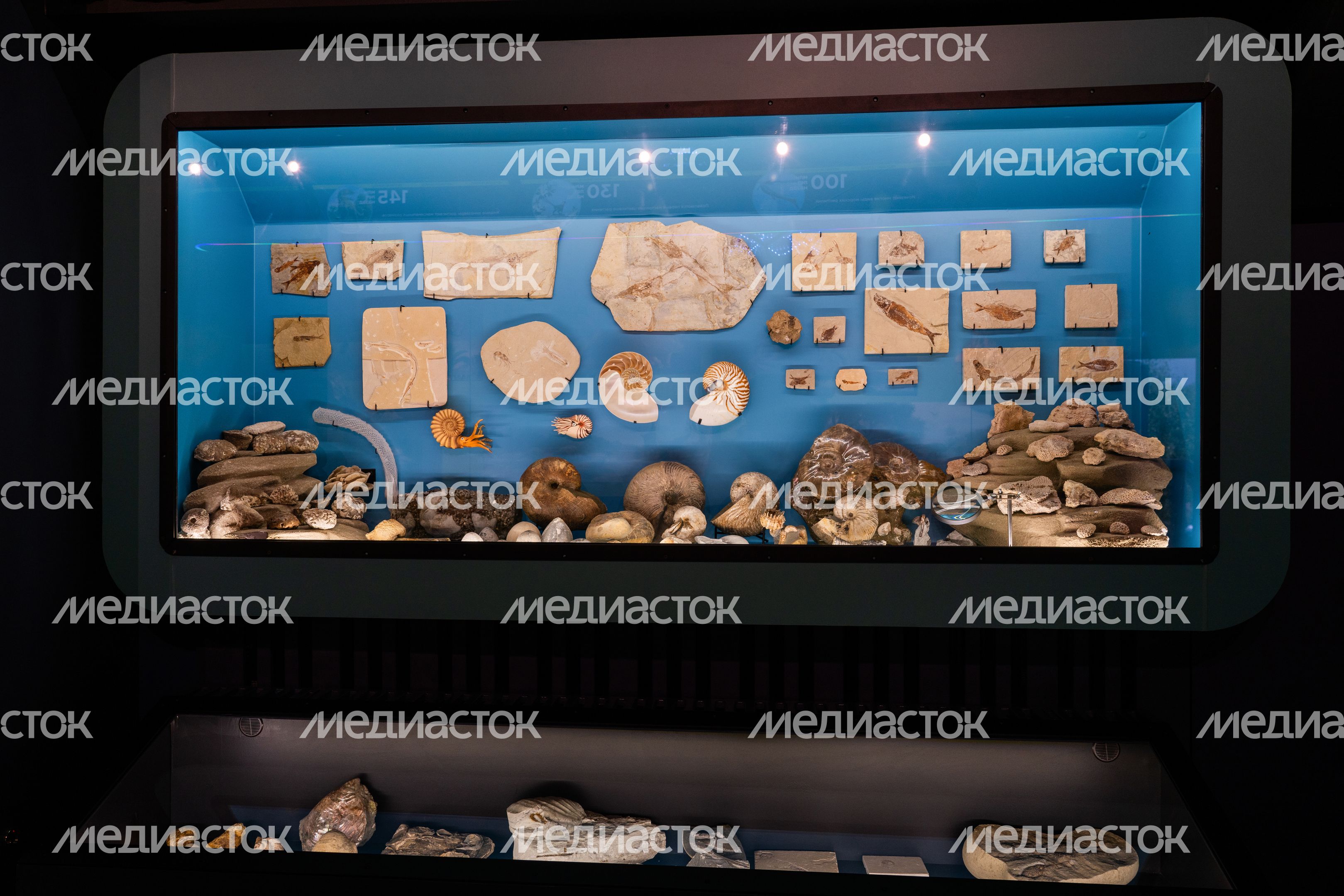 Музей истории мироздания в Истре Музей истории мироздания в Истре