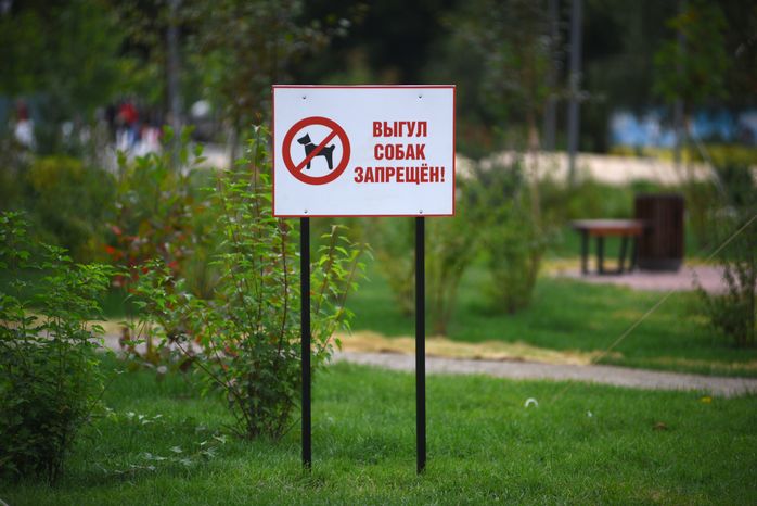 Сквер «Химкинский Арбат»