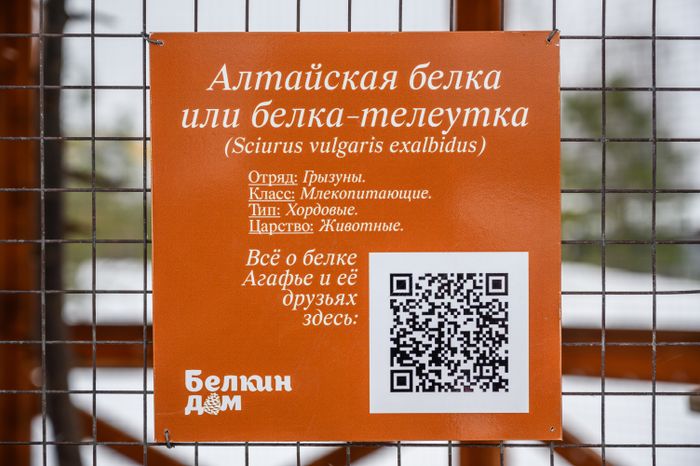 Парк культуры и отдыха "Дулёвский" в Орехово-зуевском городском округе