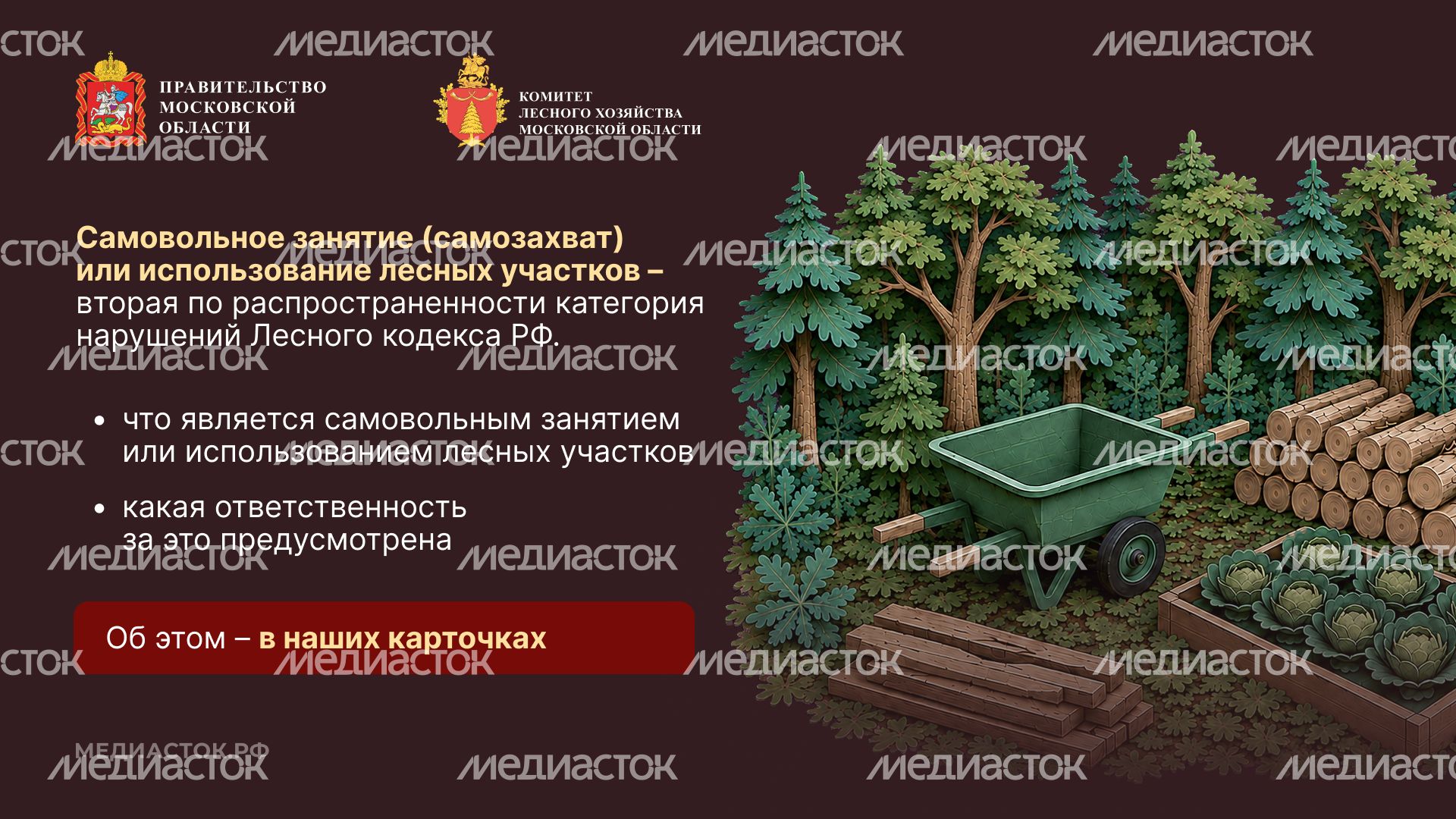 Самовольный захват и использование лесных участков горизонталь 03