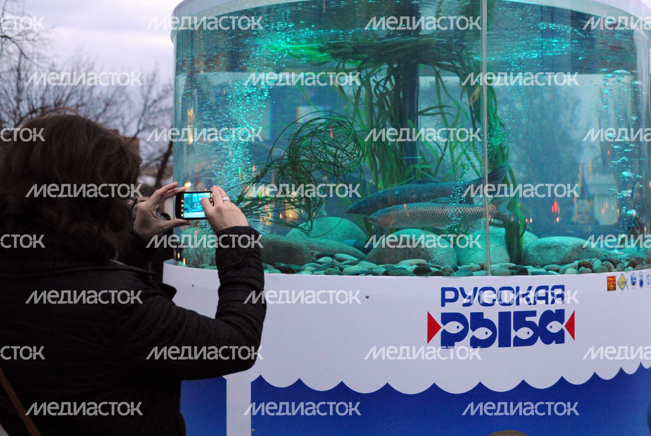 Всероссийский фестиваль «Рыбная неделя» в Москве