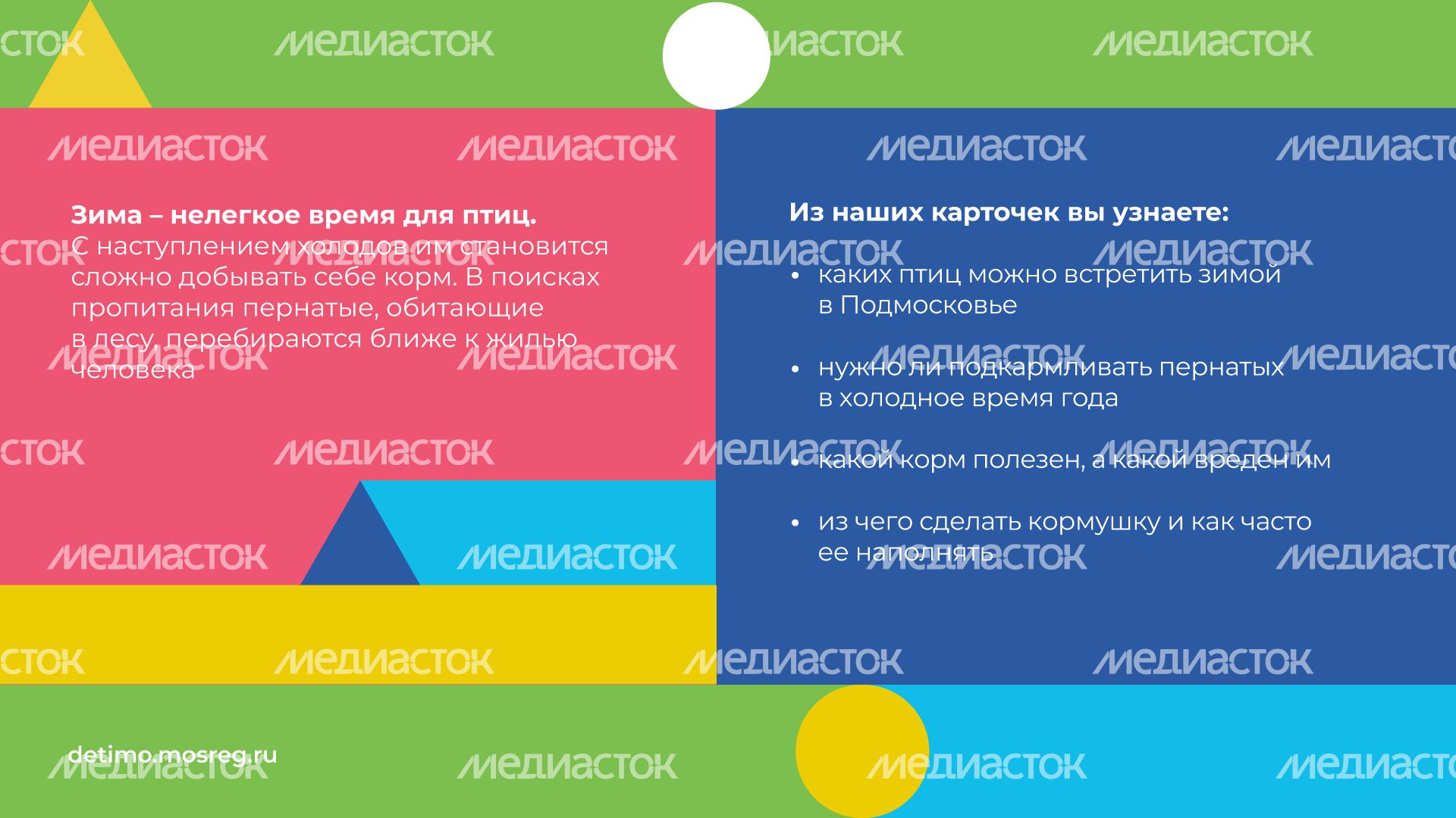синичкин_день_горизонталь_02.jpg