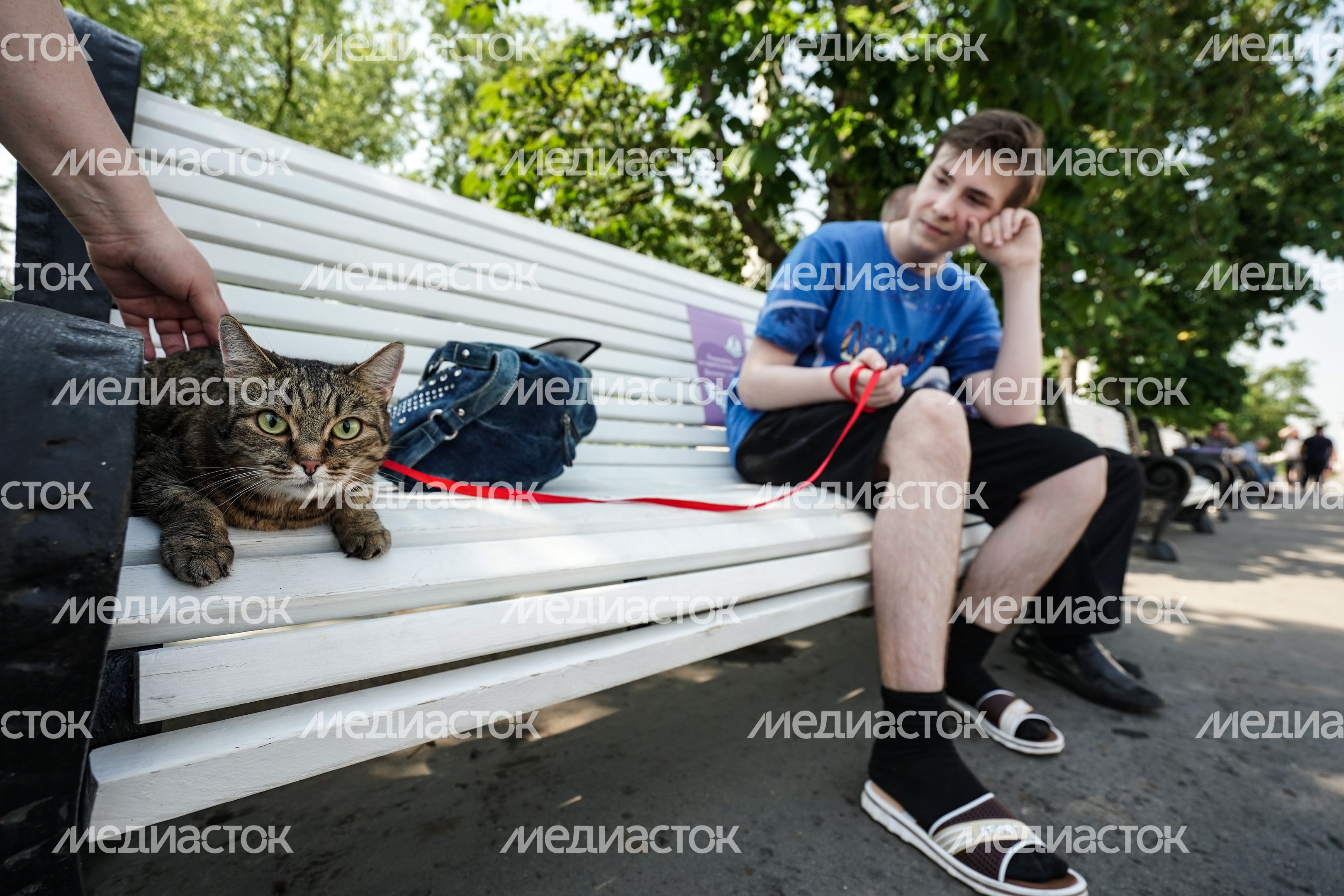 Аномальная жара в Москве