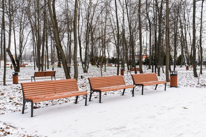 Лобня. Парк «Киово». Зима