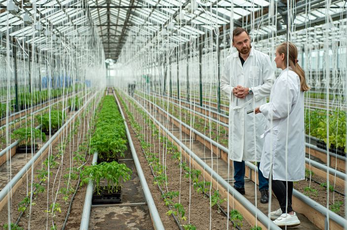 Теплицы крупного семеноводческого агропромышленного комплекса ООО «Агрофирма Партнер»