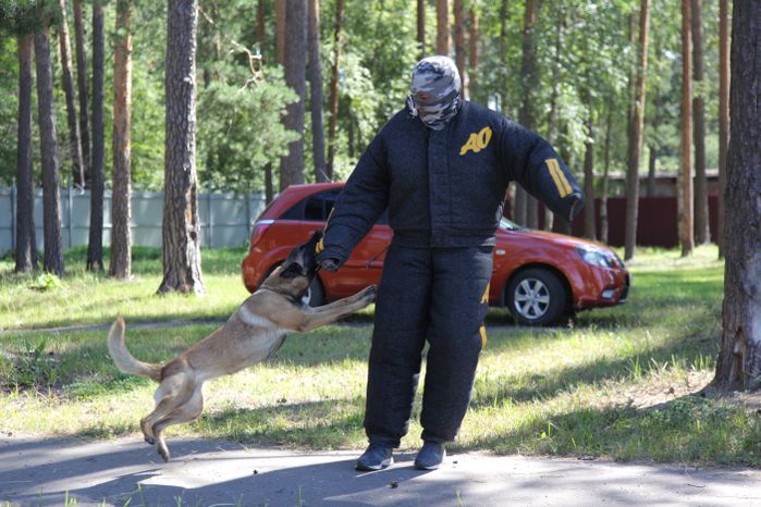 Центр кинологической службы в Дубне