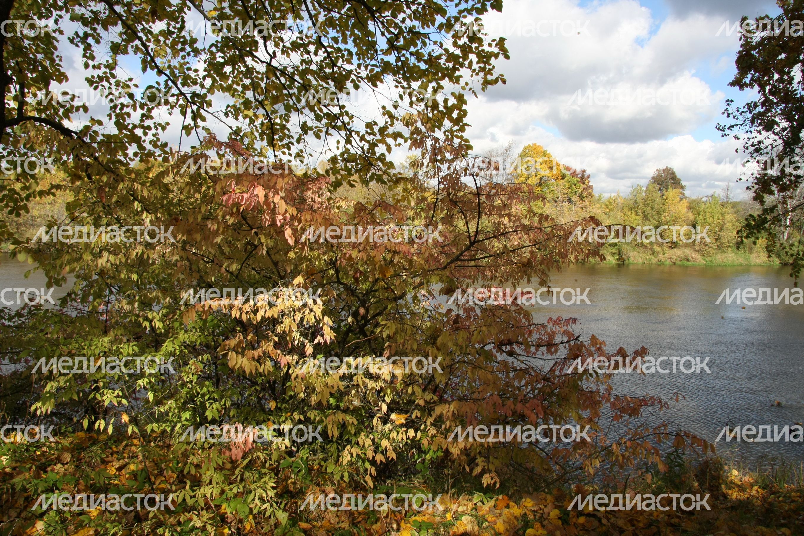 Осень в Подмосковье