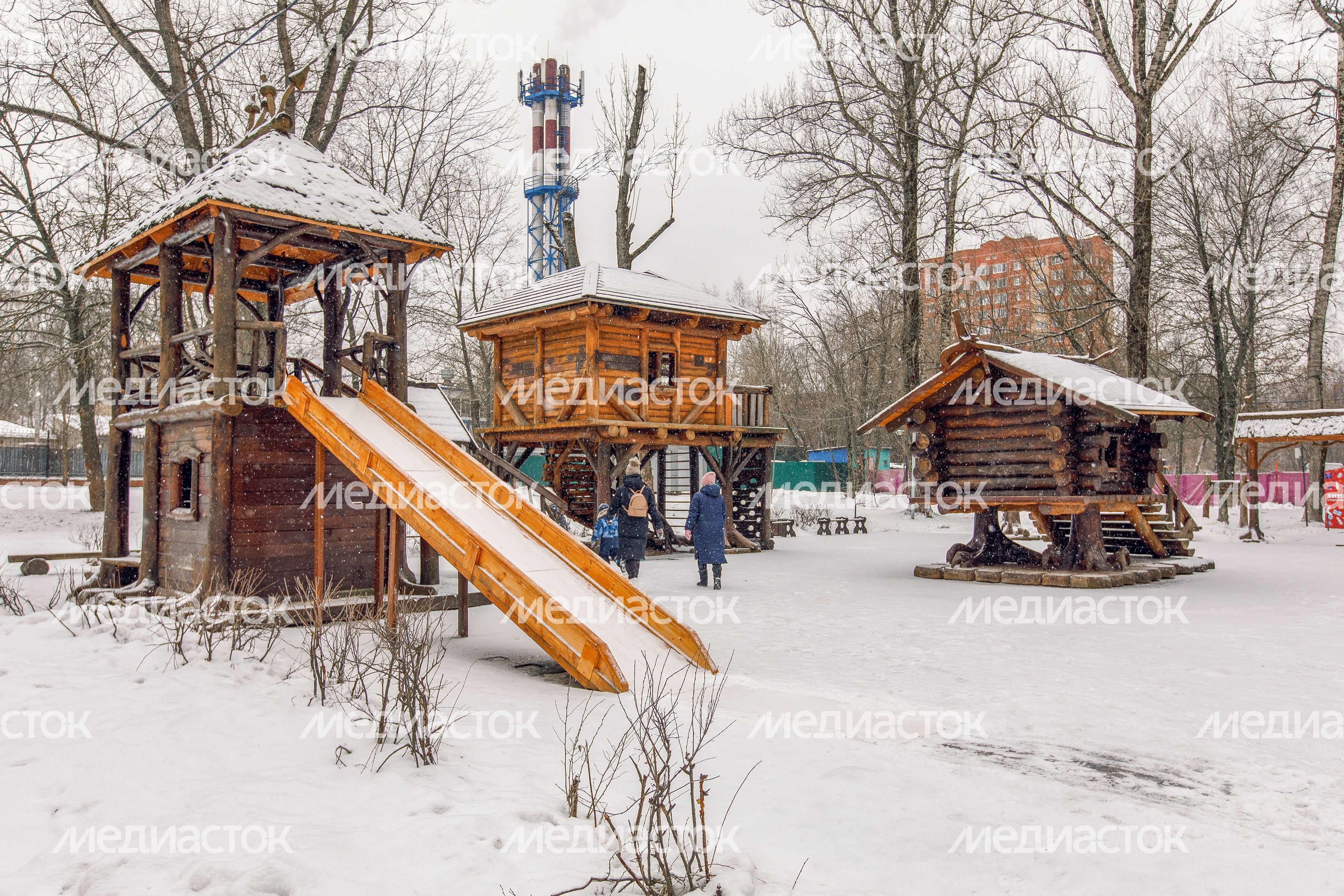 Зимний Щелковский городской парк культуры и отдыха Зимний Щелковский городской парк культуры и отдыха