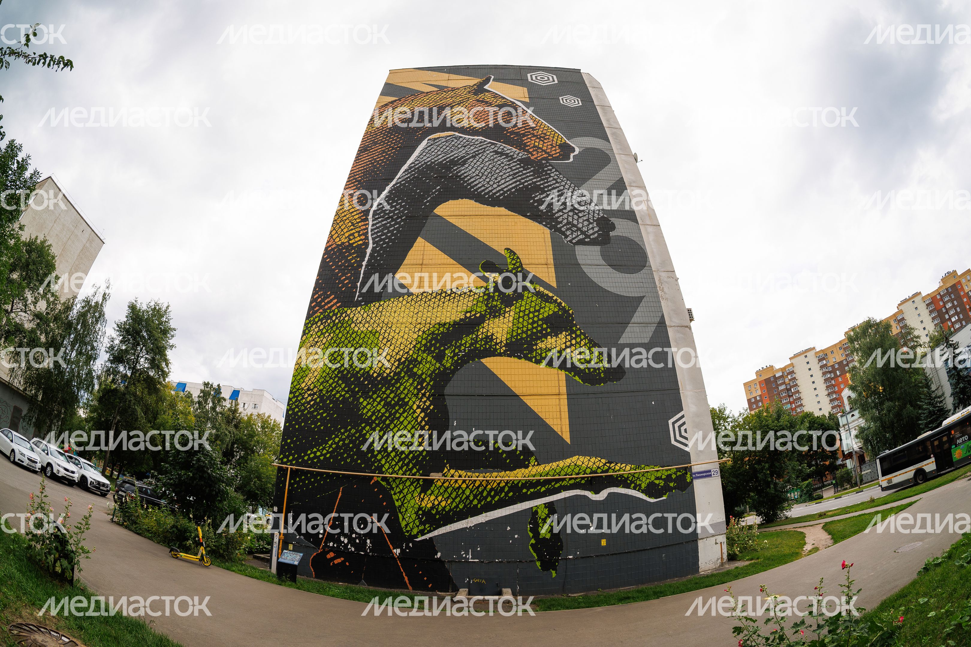 Муралы в Железнодорожном, Балашиха