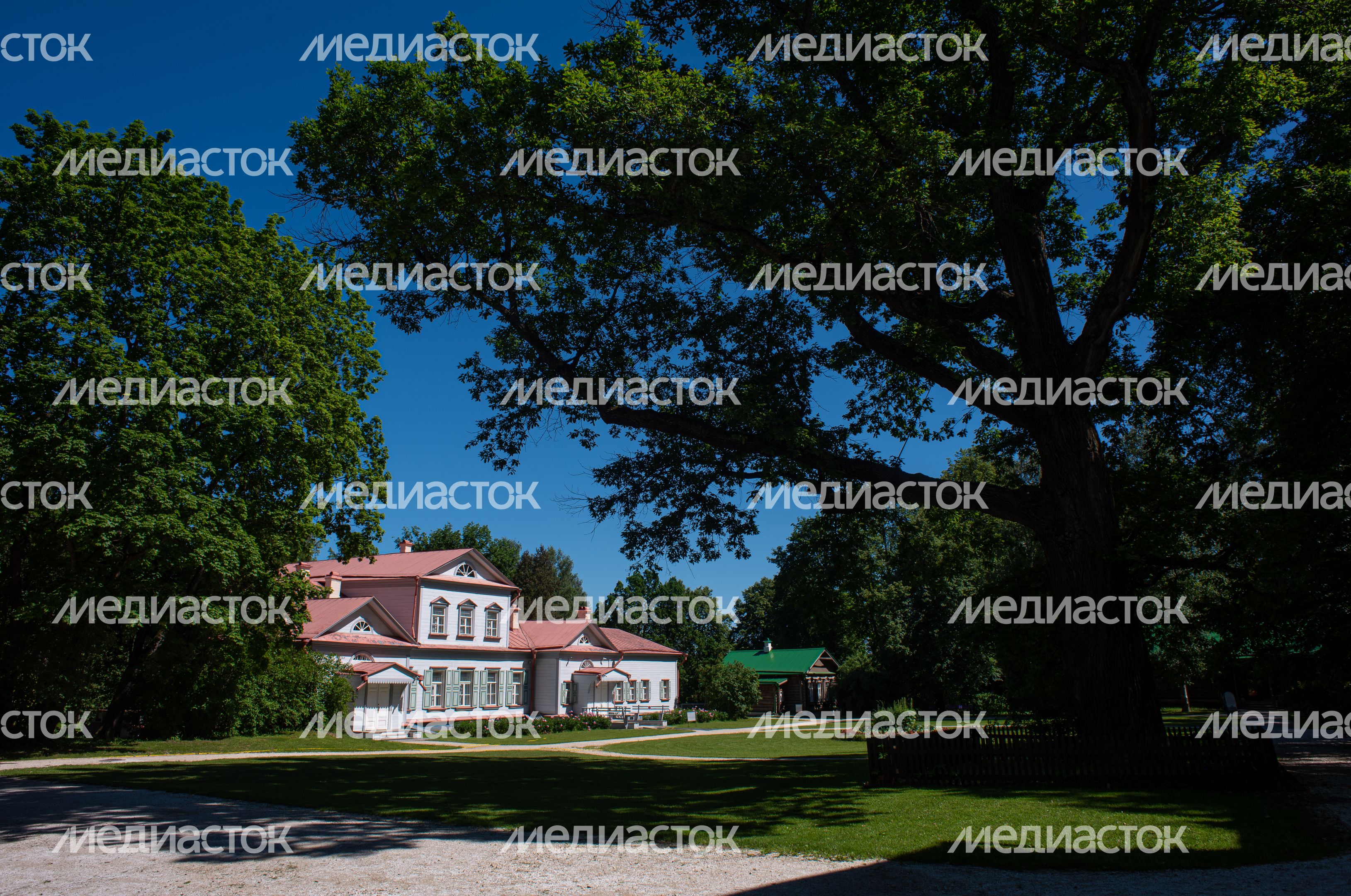 Летние виды Музея-заповедника «Абрамцево»