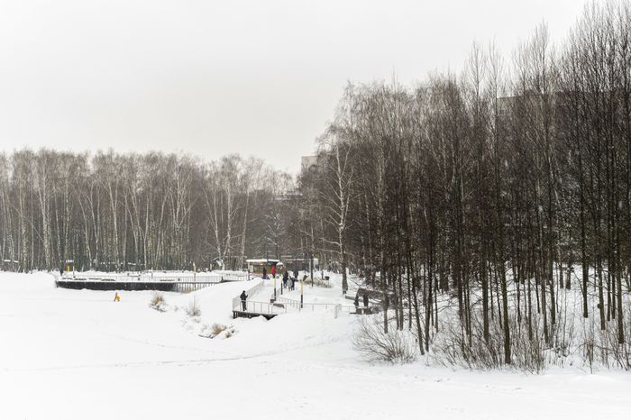Балашиха. Парк «Заречная». Зима