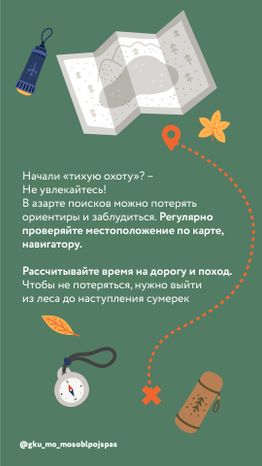Вертикаль грибы 06.jpg