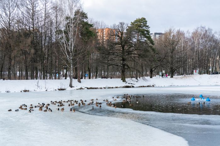 Парк культуры и отдыха «Ивановские пруды» в Красногорске