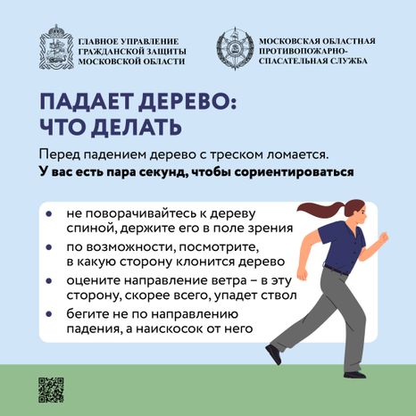 Аварийные деревья_Квадрат-04.jpg