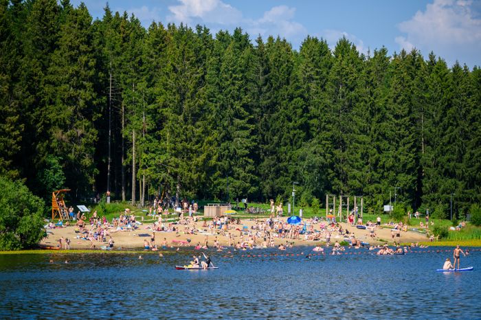 Пляж в лесопарке «Загорское море» летом в Сергиевом Посаде