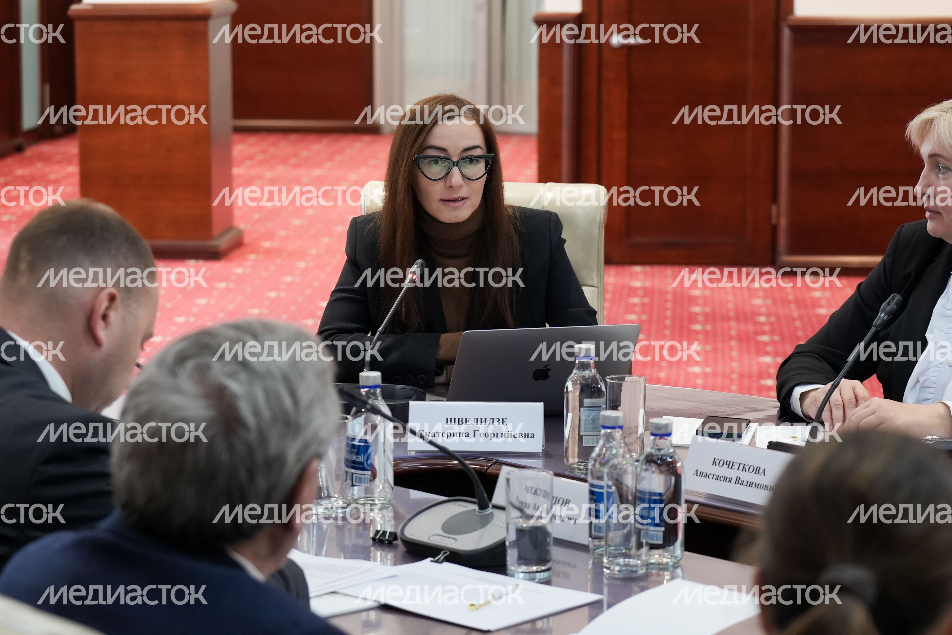 Екатерина Швелидзе на заседании Межпарламентской комиссии по сотрудничеству России и Белоруссии Екатерина Швелидзе на заседании Межпарламентской комиссии по сотрудничеству России и Белоруссии