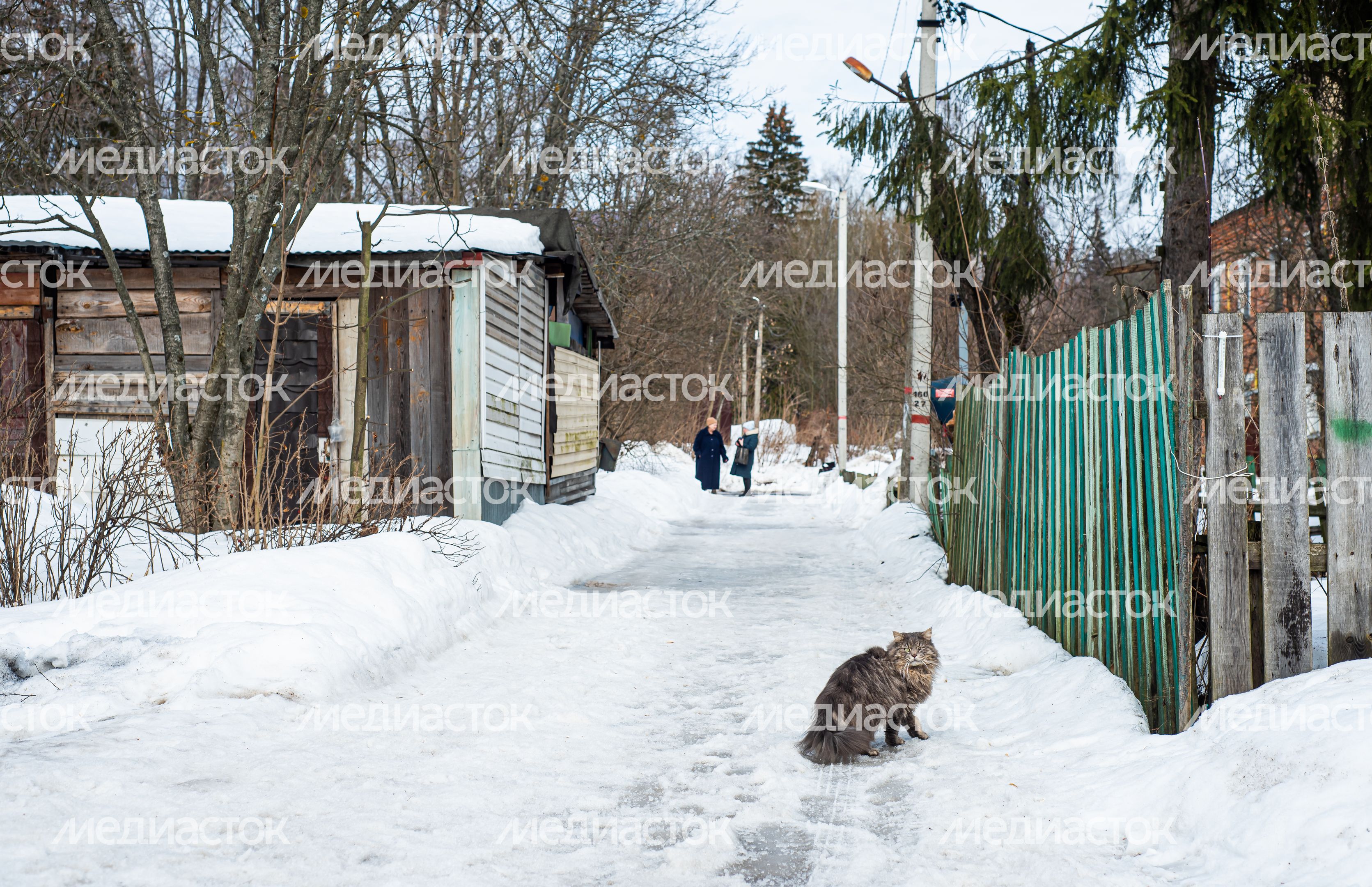 Зимние виды деревни Гребнево
