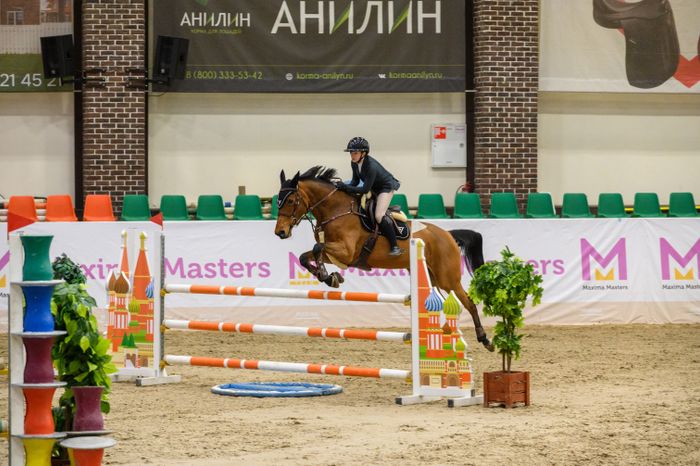 Международные спортивные соревнования по конкуру в "Максима парк" Дмитровского округа