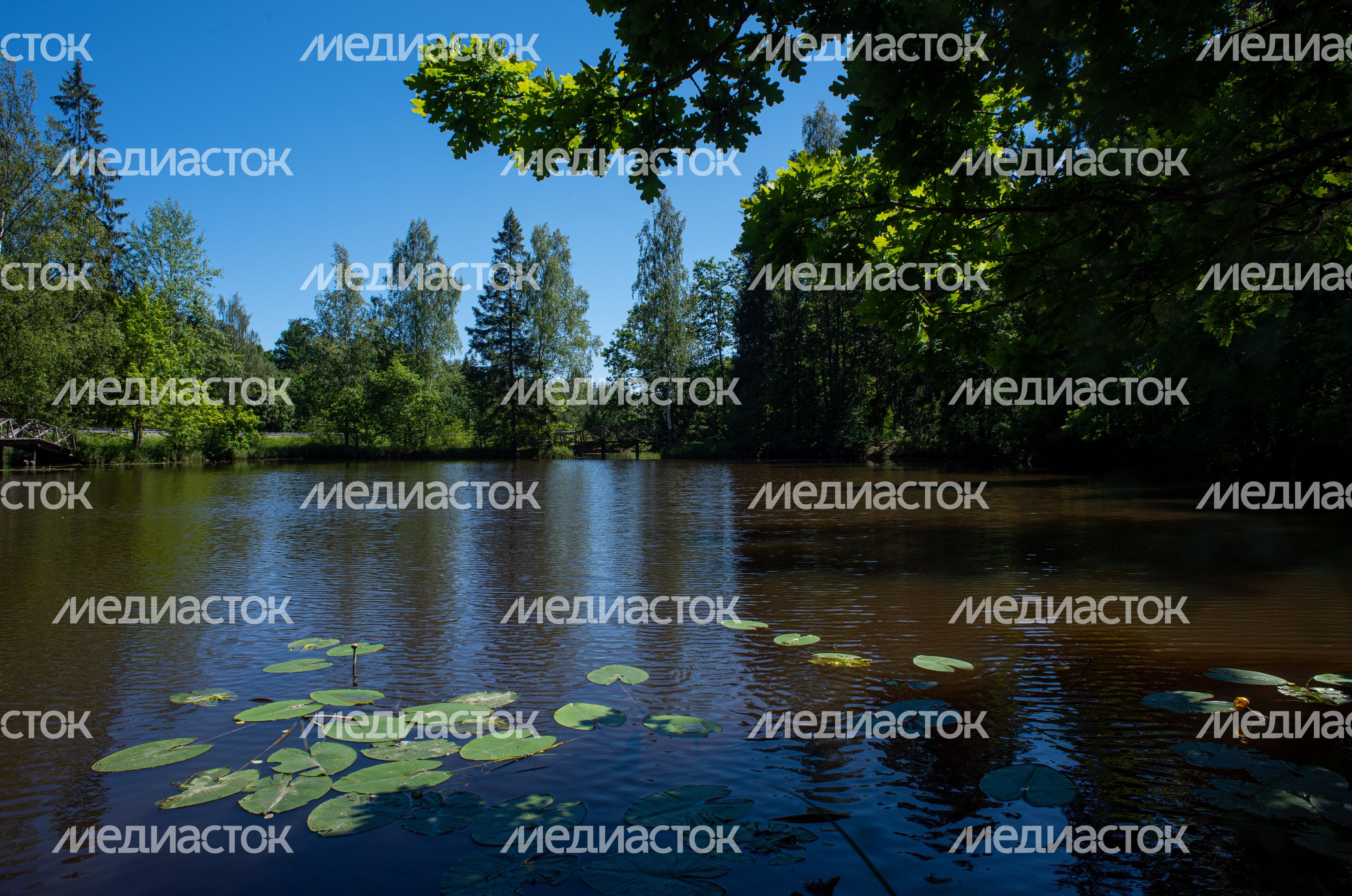 Летние виды Музея-заповедника «Абрамцево»