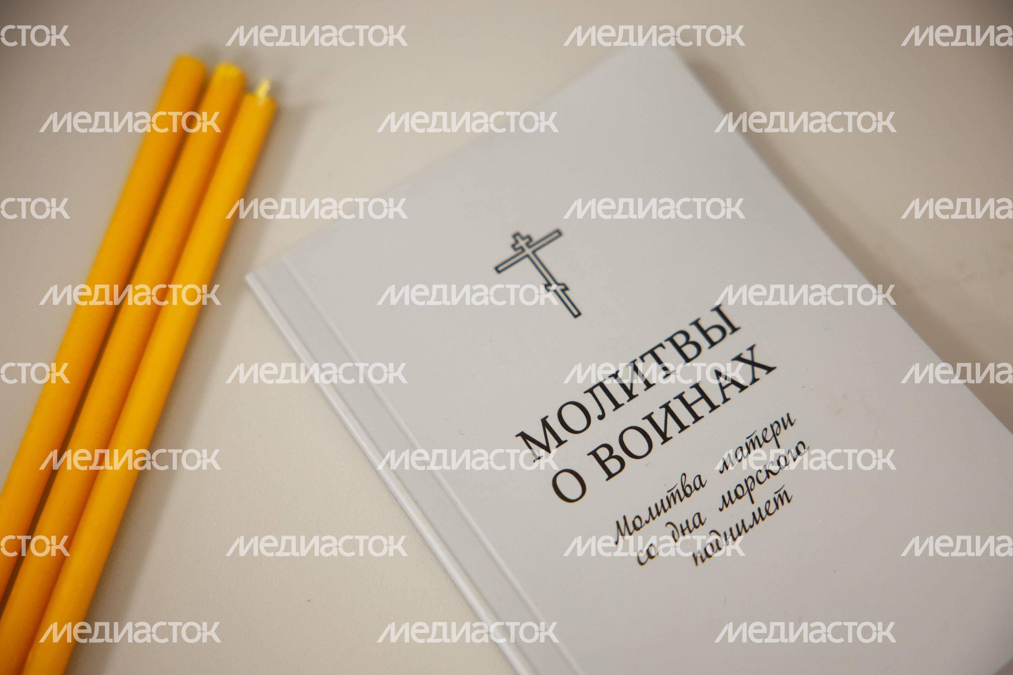 Единый центр поддержки участников СВО и их семей создан в Мытищах Единый центр поддержки участников СВО и их семей создан в Мытищах