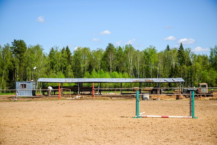 Конноспортивный клуб «Баллада» в округе Солнечногорск
