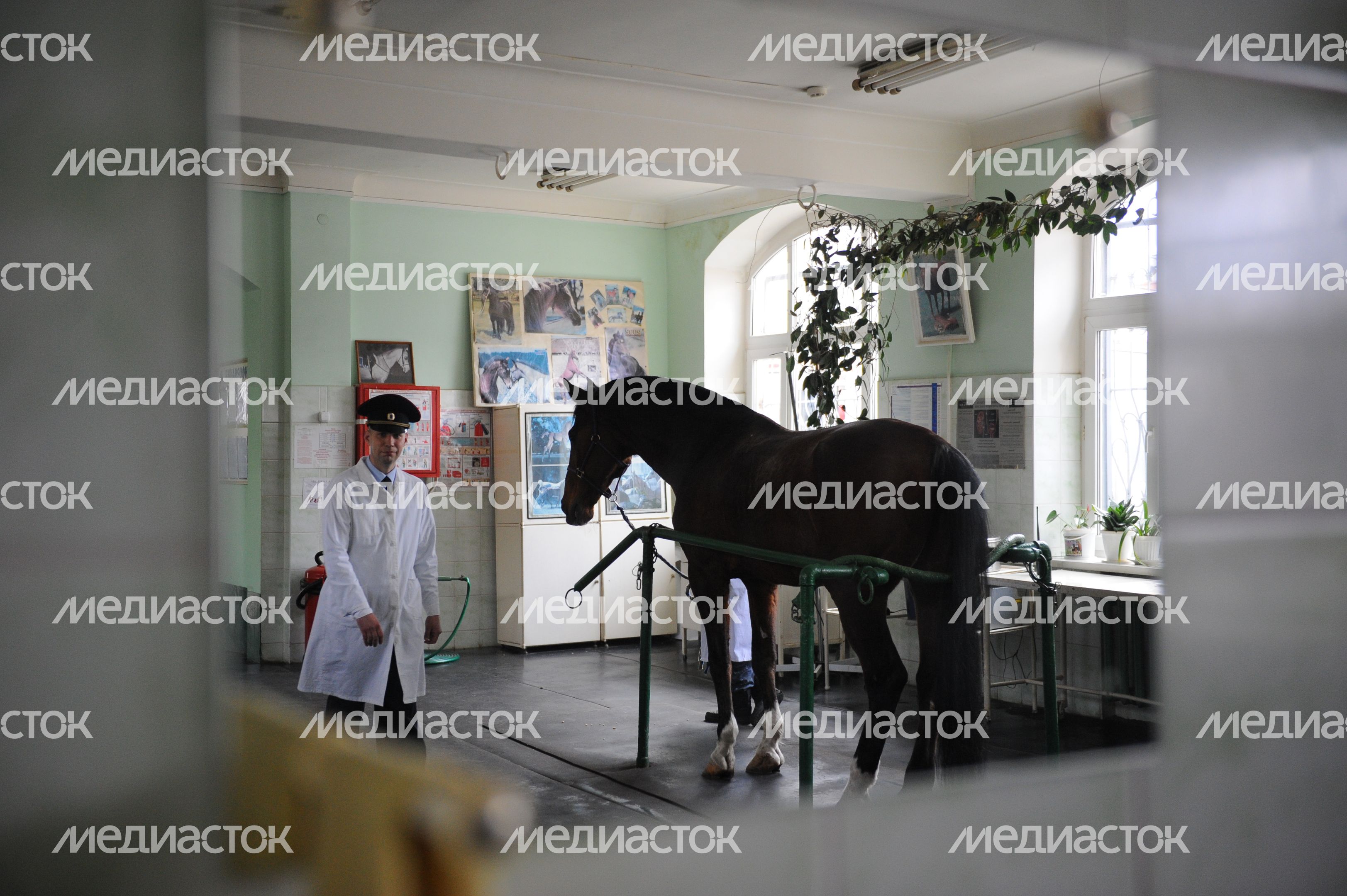 Конная полиция Москвы
