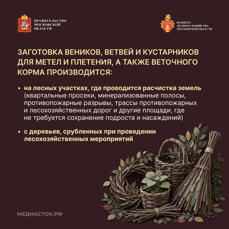 Недревесные ресурсы для собственных нужд Квадрат 07