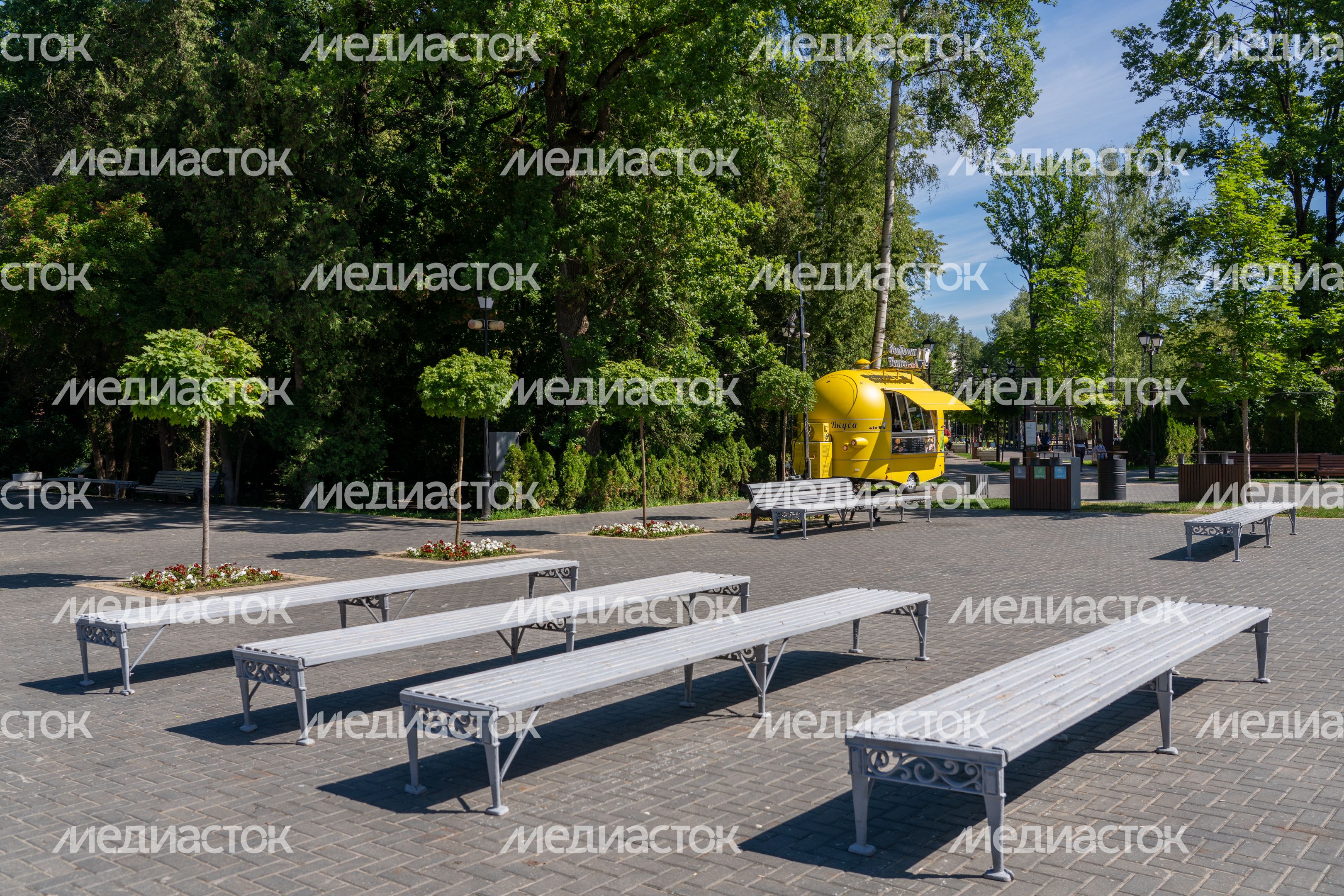 Лето в парке «Фабричный» города Дедовск округа Истра Лето в парке «Фабричный» города Дедовск округа Истра
