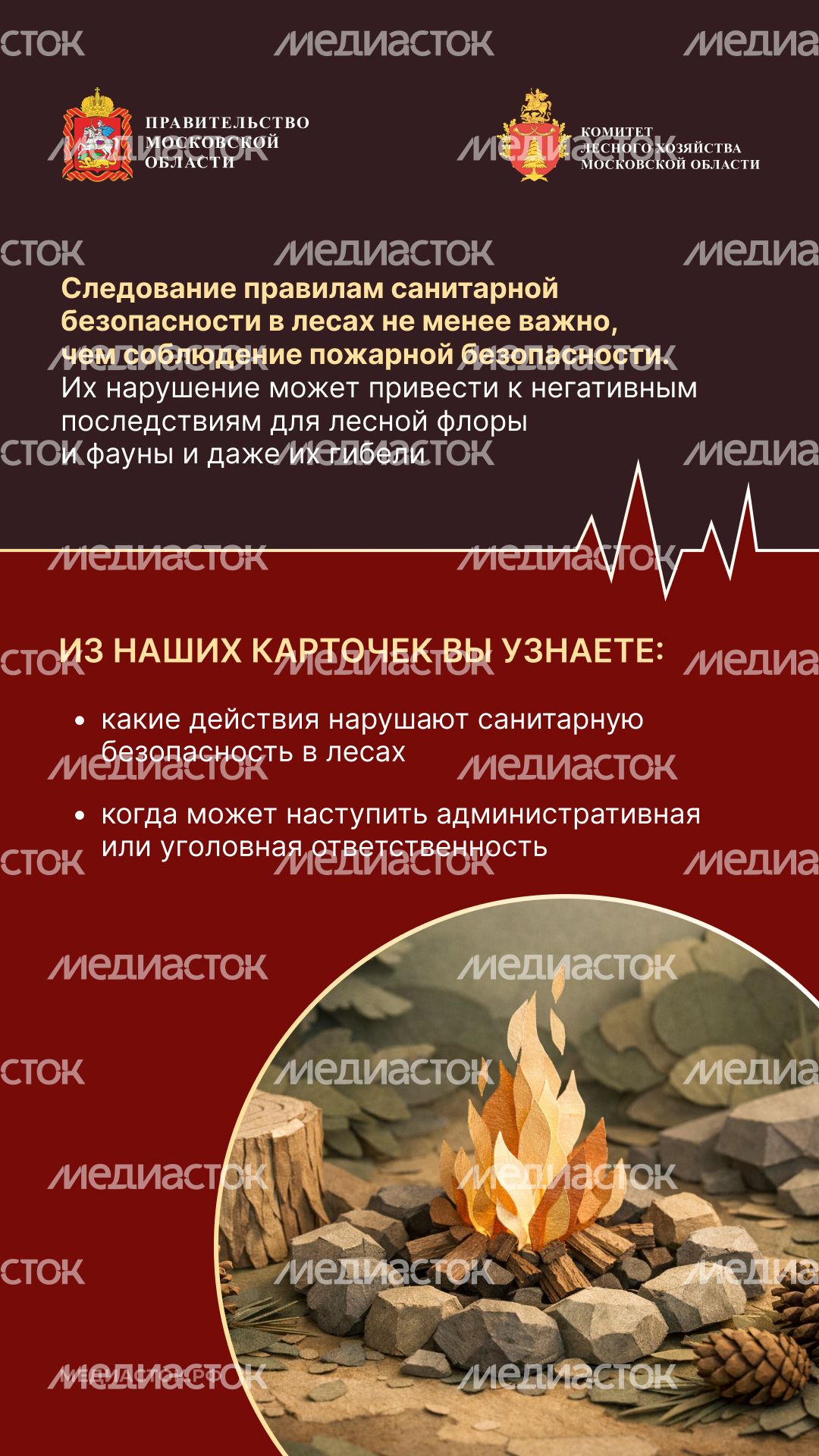 Санитарная безопасность в лесах вертикаль 02