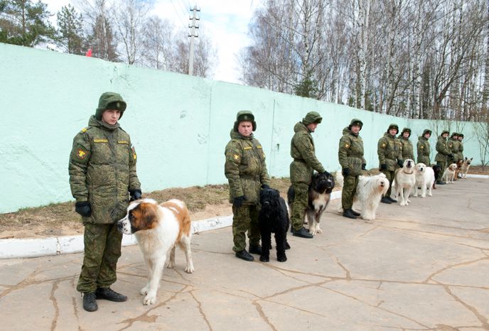 Племенной питомник «Красная Звезда» в Дмитровском районе